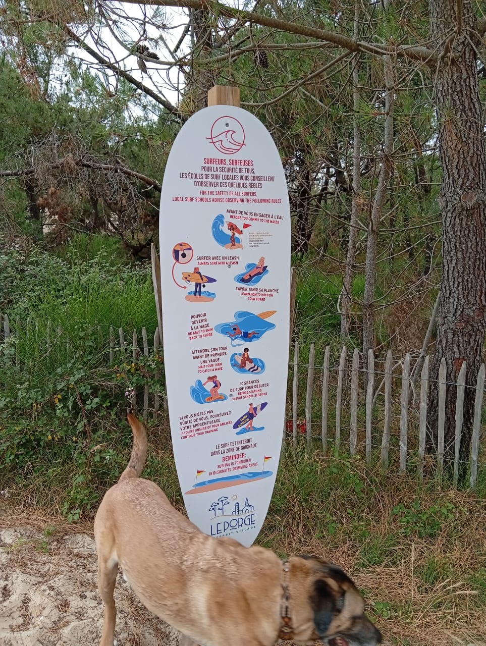 Aulas de stand up em praias paradiziacas é com a Gostoso Surf School, te ensinamos rapidamente | aluguel de pranchas